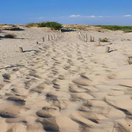 Lectus With Location * Nieuwpoort